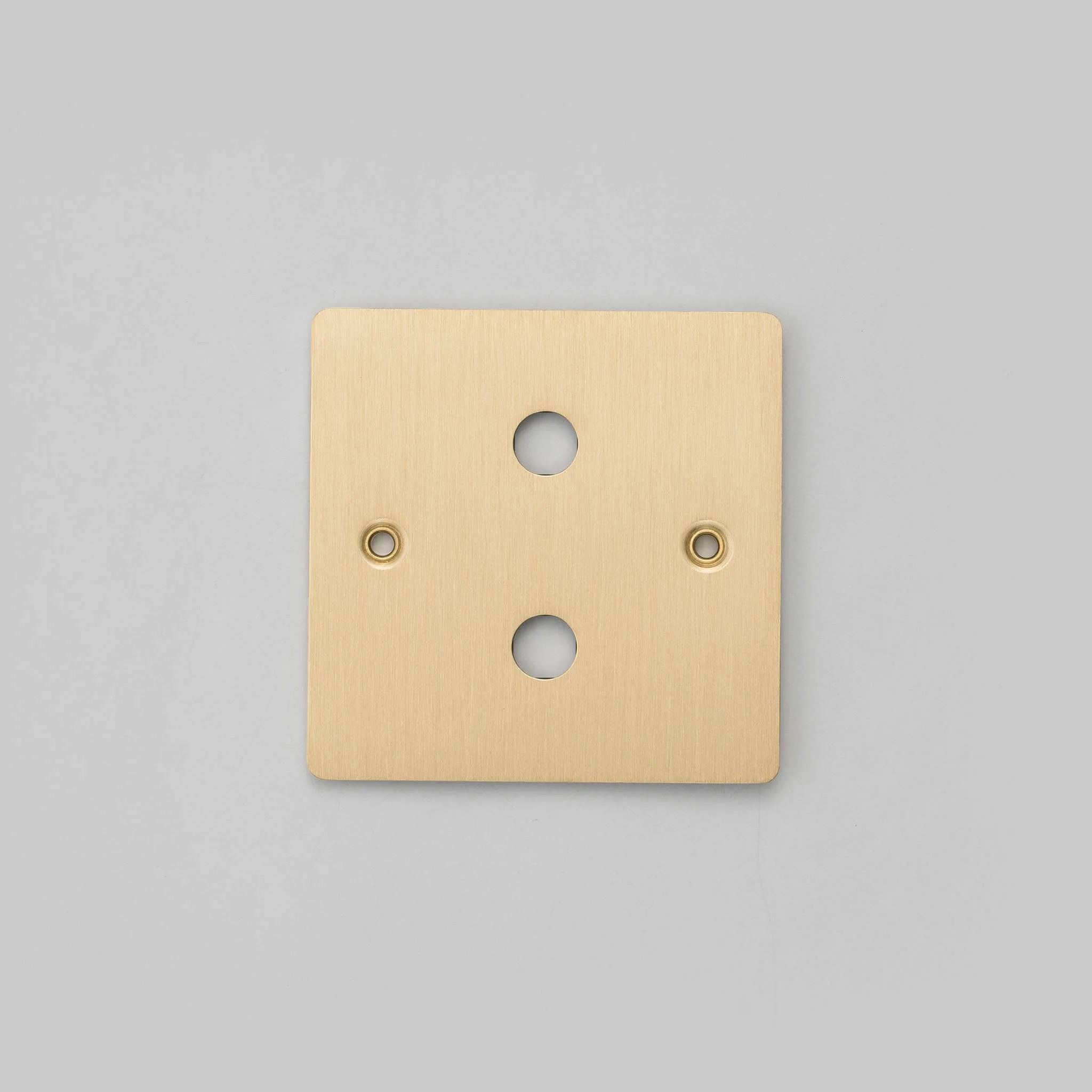 1G Wandplaat Gebouwd voor 2 DIMMERS Modules in Massief Metaal