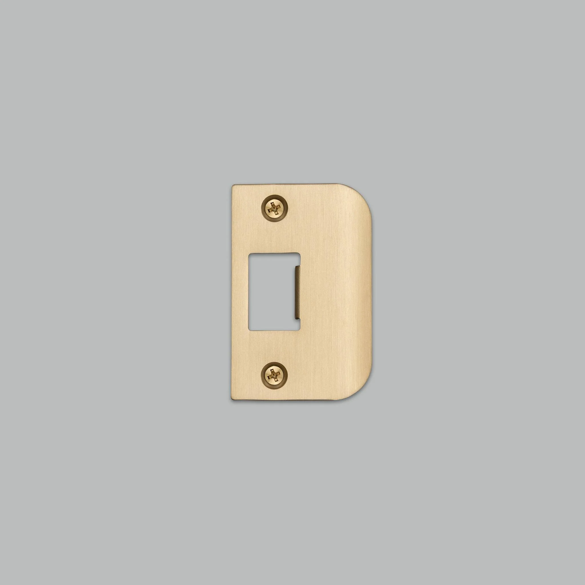 STRIKE PLATE KIT / D SHAPED / STANDARD DOOR