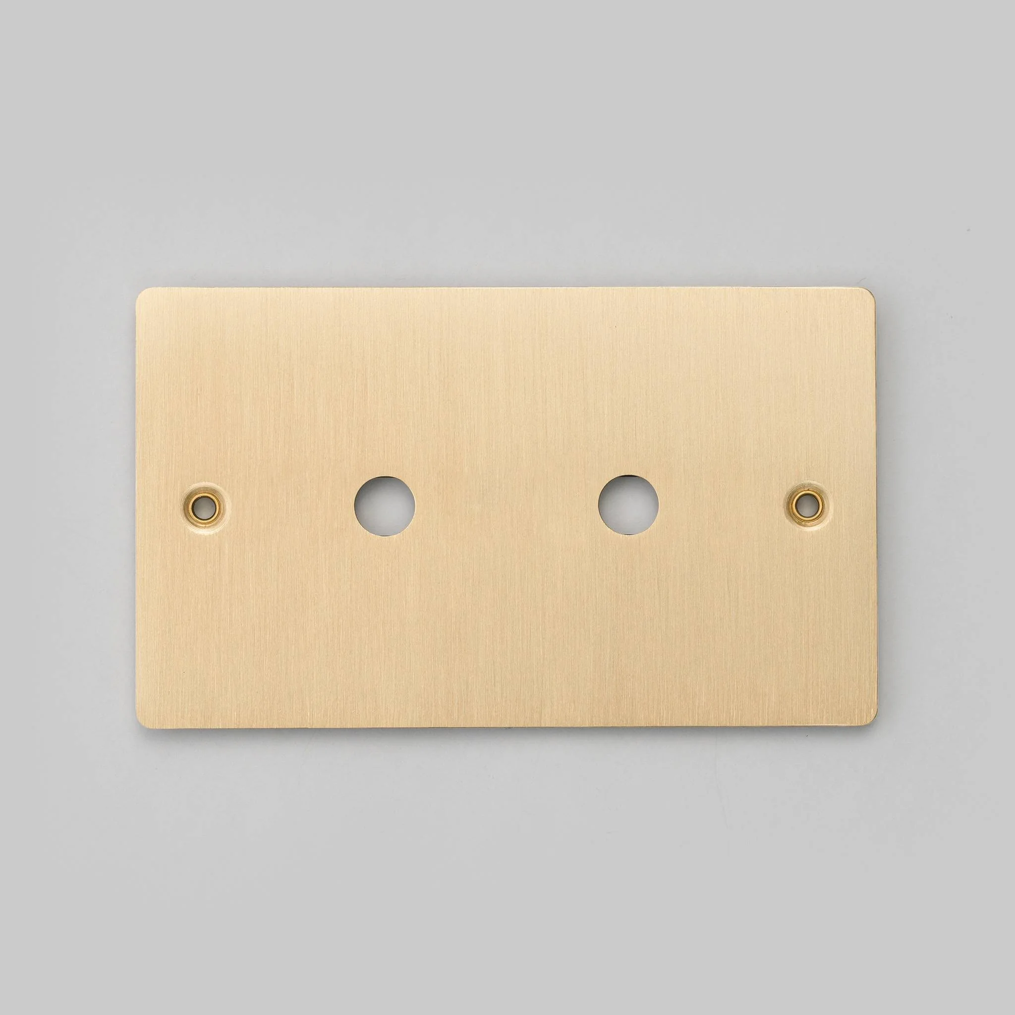 Plaque murale métallique 2G pour 2 VARIATEURS ou BOUTONS