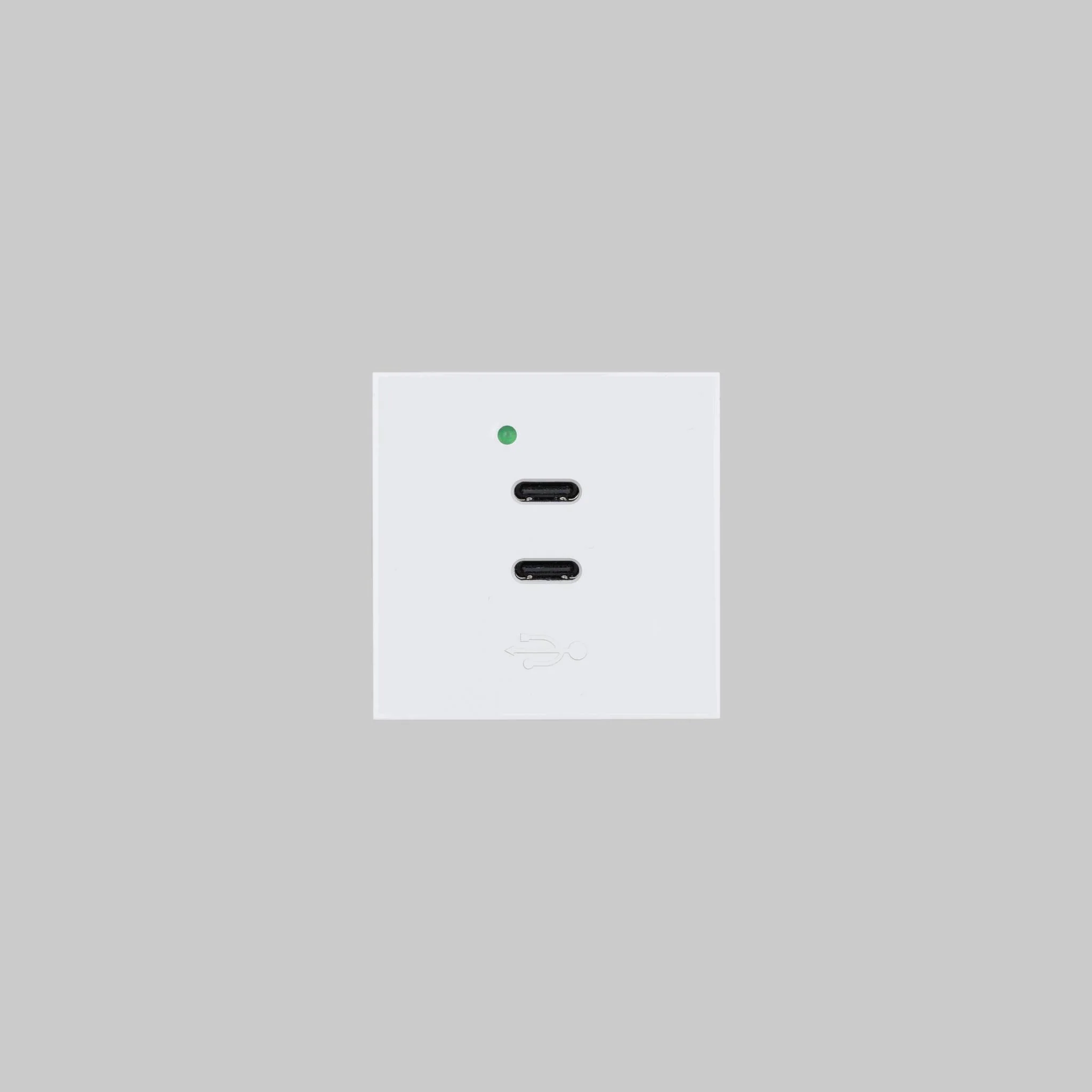 USB-MODULE / USB C + C QUICKCHARGE 45MM module-inzetstuk