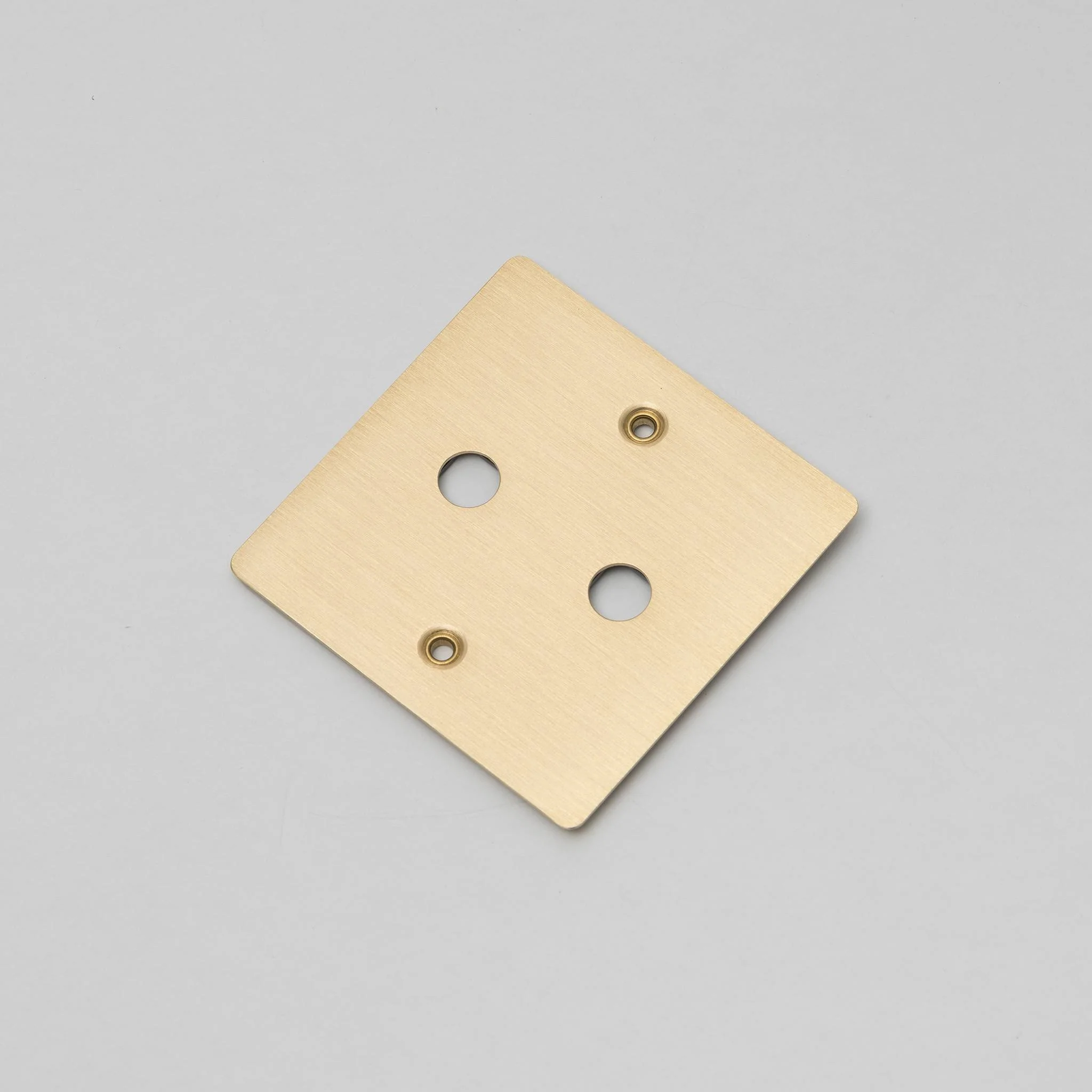 1G Wandplaat Gebouwd voor 2 DIMMERS Modules in Massief Metaal
