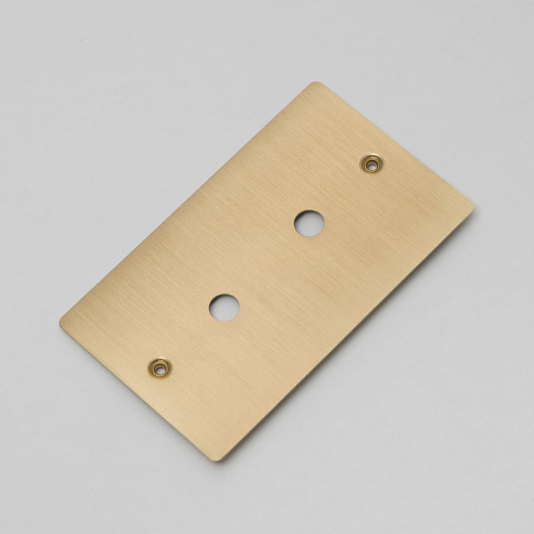Plaque murale métallique 2G pour 2 VARIATEURS ou BOUTONS